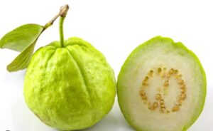 Guava Fruit