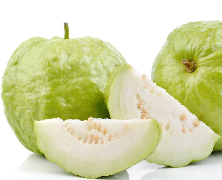 Guava Fruit